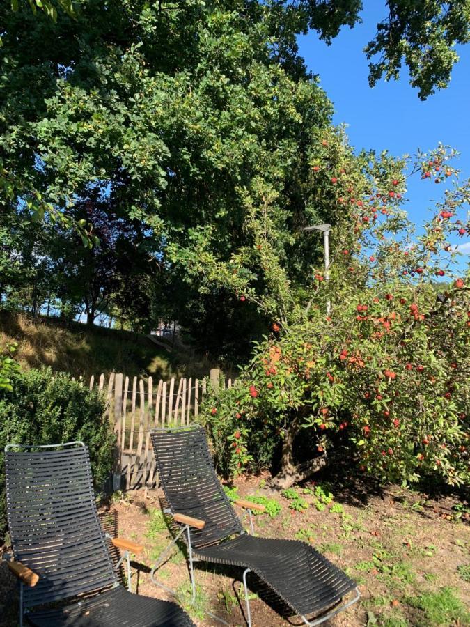 Nibelungen Odenwaldhaus Villa Mossautal Bagian luar foto